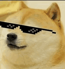 Cool Is GIF - Cool Is Doge GIFs