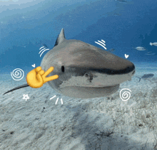 a shark with a thumbs up sign on its face