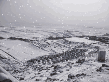 Snow In GIF