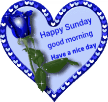 happy sunday good morning have a nice day blue rose heart