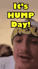 a man wearing a yellow and black beanie says it 's hump day