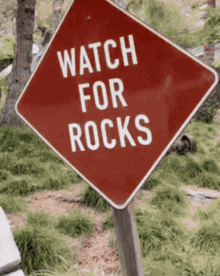 Yoo Hoo Watch For Rocks GIF - Yoo Hoo Watch For Rocks The Rock GIFs