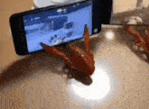 a phone is sitting on a table with a crab on it