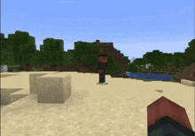 a man in a black shirt is standing in a sandy area in a minecraft game