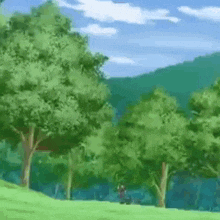 a person is standing in a field surrounded by trees .