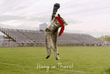 a cat wearing a headband is jumping in the air with the words hang in there written below it