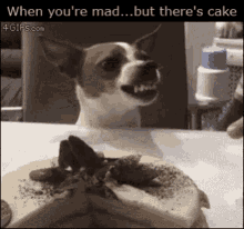 Mad Dog GIF - Mad Dog Cake GIFs