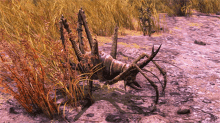 fallout cave cricket enemy death insect