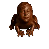 a chocolate frog with a woman 's face on it 's back