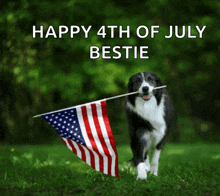 a black and white dog holding an american flag with the words happy 4th of july bestie