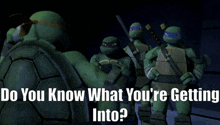 Tmnt Donatello GIF - Tmnt Donatello Do You Know What Youre Getting Into GIFs