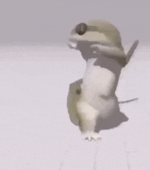Dance Salamander GIF