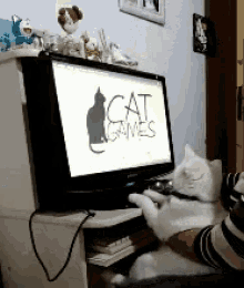 Cat Cute GIF - Cat Cute Computer GIFs