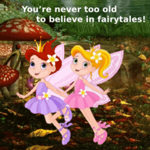 Fairy Memes Animated Fairies GIF