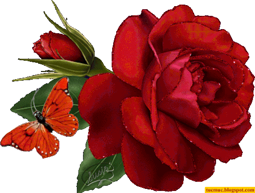 animated butterfly and flower gif