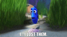 finding dory i lost them dory finding nemo