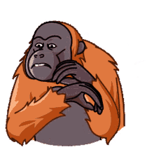 telegram orangutan