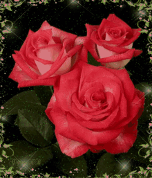 Love You Roses GIF