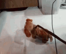 Dog Puppet GIF - Dog Puppet Stuffed Toy GIFs