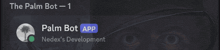 a screenshot of the palm bot app