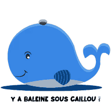baleine sous cailloux baleine sous caillou caillou baleine sous cailloux baleine sous caillou caillou