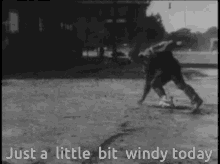 Windy Just A Little Bit Windy Today GIF - Windy Just A Little Bit Windy Today Wind GIFs