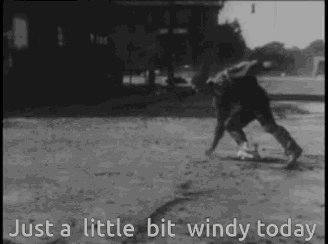 Windy Just A Little Bit Windy Today GIF Windy Just A Little Bit Windy 