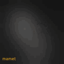 Mamet69 GIF - Mamet69 GIFs