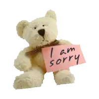 a teddy bear holds a pink sign that says i am sorry