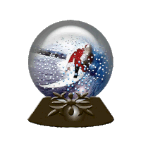 Snow Globe Surfing Sticker