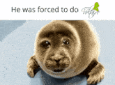 a picture of a seal with the words he was forced to do written above it