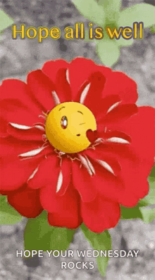Hope All Is Well Greeting GIF - Hope All Is Well Greeting Emoji GIFs