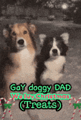 two dogs are standing next to each other with the words gay doggy dad welry christmas treats