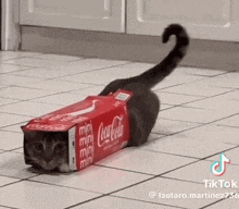 a cat is crawling through a coca cola box on the floor .