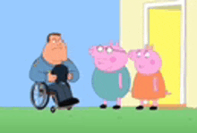 a man in a wheelchair is standing next to two pigs in front of a door .