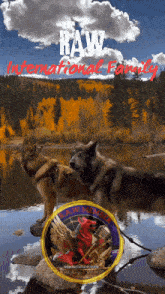 a poster for the raw international family shows two dogs
