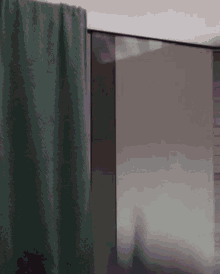 a green curtain is hanging on a shower door