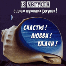 a picture of a sea shell with the date 13 august