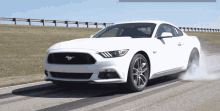 Ford Mustang Burnout GIF