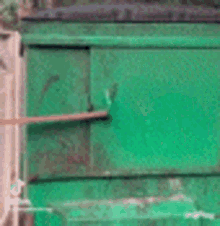 Raccoon Dumpster GIF - Raccoon Dumpster Doorslide GIFs