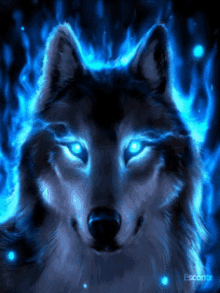 Blue Wolf GIF - Blue Wolf Majestic GIFs