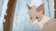 Warrior Cats The Only Time Im Home GIF
