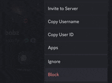 a screenshot of the invite to server option