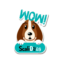 scalidogs dog cane cucciolo beagle