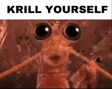 Krill Yourself GIF