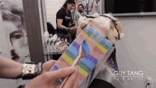 Coloring Hair Guy Tang GIF - Coloring Hair Guy Tang Rainbow Hair GIFs