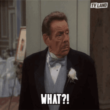 What Huh GIF - What Huh Really GIFs