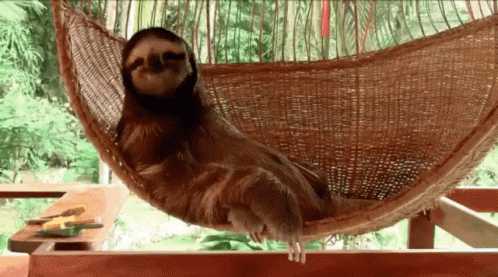 Preguiça Deitada Na Rede / Falta De Vontade / Desânimo GIF - Sloth Laziness Chill GIFs