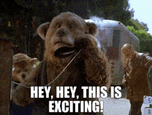 The Country Bears Henry Taylor GIF - The Country Bears Henry Taylor Hey Hey This Is Exciting GIFs