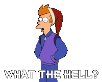 What The Hell Philip J Fry Sticker - What The Hell Philip J Fry Futurama Stickers